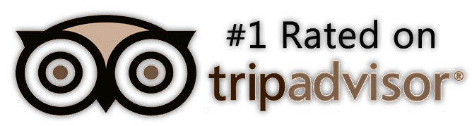 tripadvisor logo 2